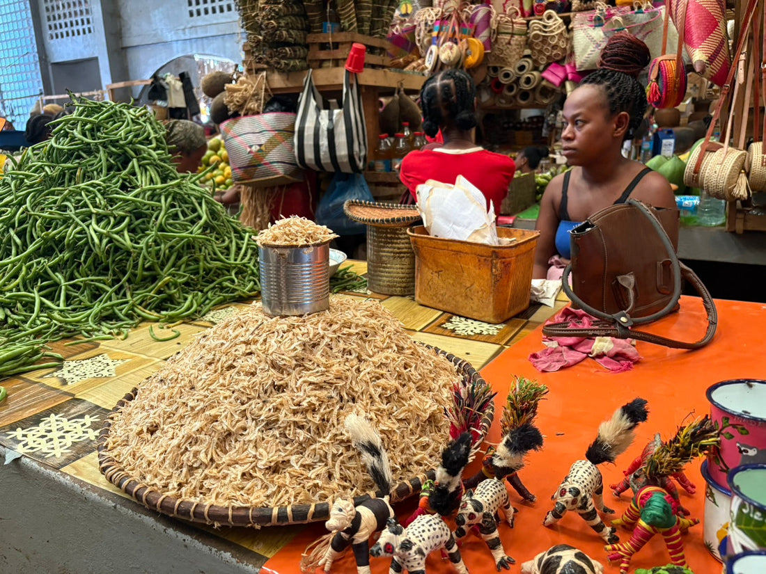 2025年5月30日 マダガスカル旅行記 Vol.2