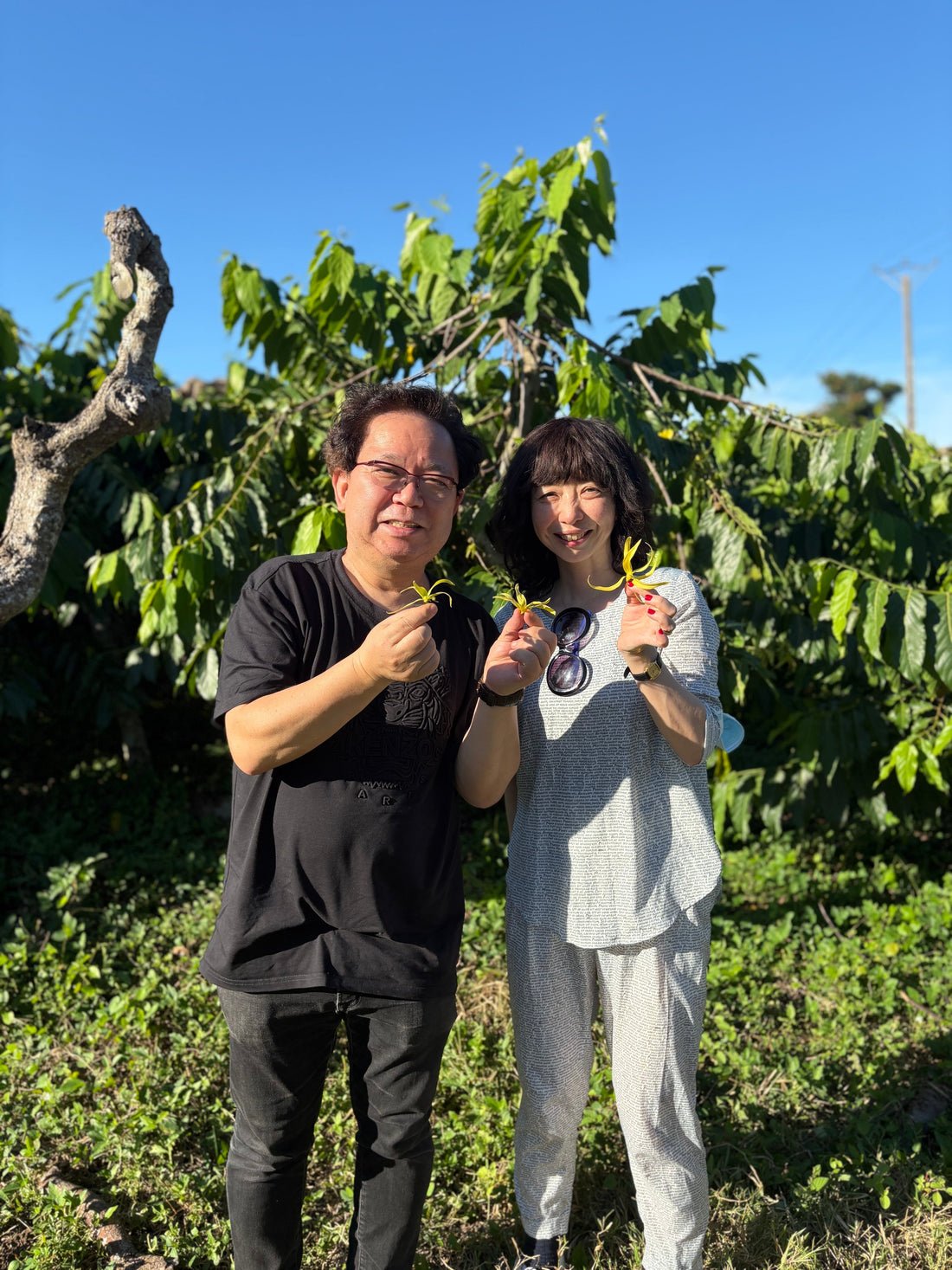 2025年7月11日　【マダガスカルエクストリーム 】完成！！！