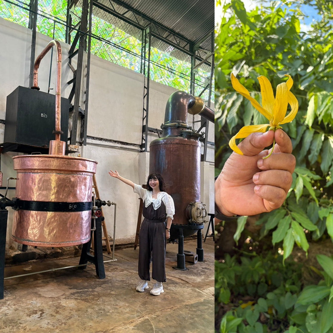 2025年6月6日　マダガスカル旅行記NO.3