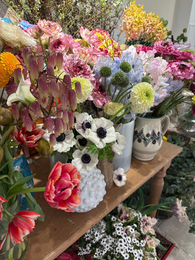 フレグランスマジシャンDIARY2026年3月27日「ドライブしたい気分」