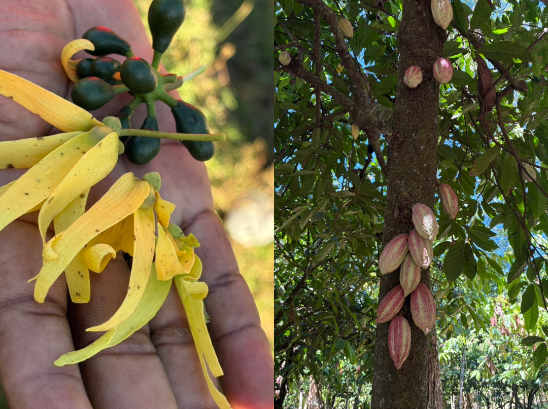 2025年5月23日　マダガスカル旅行記 Vol.１